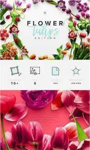 CreativeMarket - Flower Tulips Edition - Custom Scene