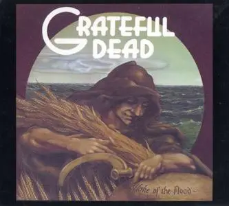 Grateful Dead - Beyond Description (1973-1989) (2004) [12CDs Boxset] {Rhino}