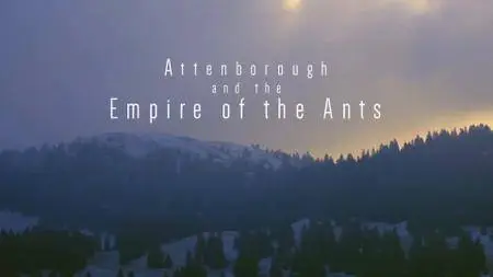 BBC - Natural World: Attenborough and the Empire of the Ants (2017)
