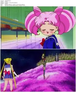 Sailor Moon R: The Movie: The Promise of the Rose (1993)