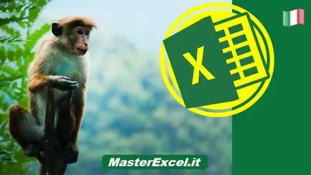 Corso di Excel Intensivo: Cambia il Tuo Excel in 1 Ora