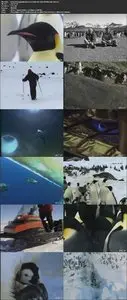 National Geographic - Emperors of the Ice (2007) [Repost]
