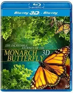 Questar - The Incredible Journey of the Monarch Butterfly (2012)