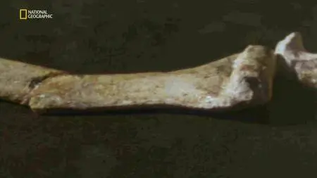 National Geographic - The Two Million Year Old Boy (2011)