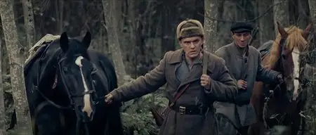 V tumane / In the Fog (2012)