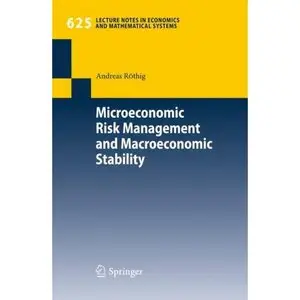 Microeconomic Risk Management and Macroeconomic Stability