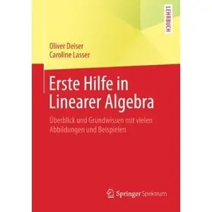 Erste Hilfe in Linearer Algebra: Überblick und Grundwissen mit vielen Abbildungen und Beispielen [Repost]