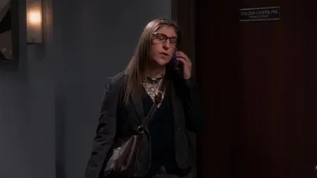 The Big Bang Theory S11E07