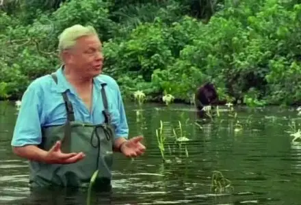 UKTV - Your Favourite Attenborough Moment (2006)
