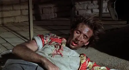 Raising Arizona (1987) [Repost]