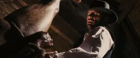 Django Unchained (2012)