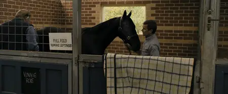 The Cup (2011)