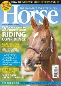 Horse - October 2017