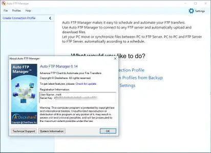 Auto FTP Manager 6.14