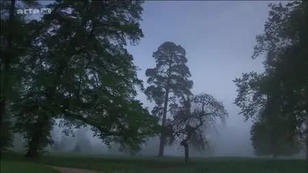 (Arte) Un jardinier à Versailles (2015)