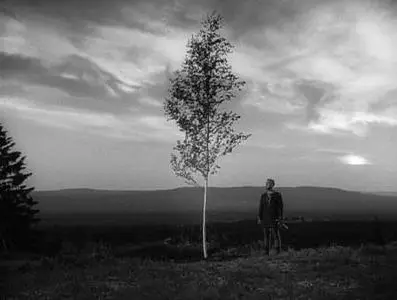 Ingmar Bergman-Jungfrukällan ('The Virgin Spring') (1960)