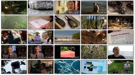 PBS NOVA: Naturalist E.O. Wilson - Lord of the Ants (2008)