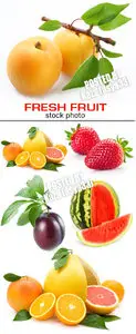 Fresh fruit 19