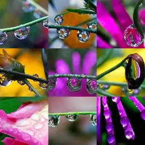 Drops Wallpapers