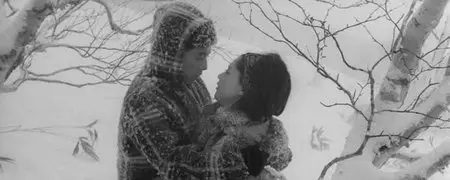 Juhyô no yoromeki / Affair in the Snow (1968)