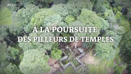 (Arte) A la poursuite des pilleurs de temples (2016)