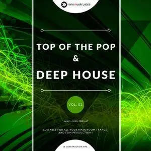 Nano Musik Loops Top of the Pop and Deep House Vol 2 ACiD WAV MiDi