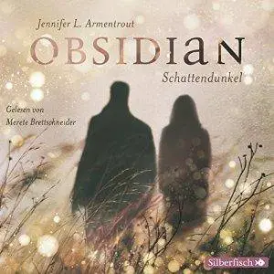 Schattendunkel (Obsidian 1)