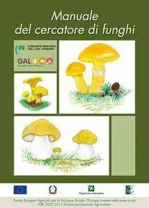 Valli del Verbano - Manuale del cercatore di funghi (2015)