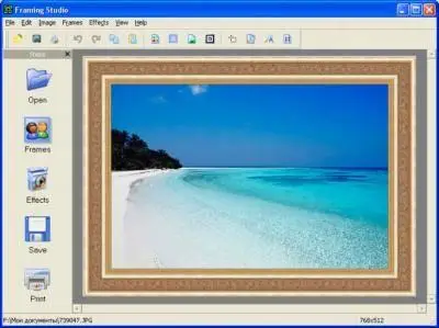 AMS Software Frame Maker Pro 2.45