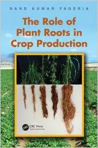 The Role of Plant Roots in Crop Production (repost)