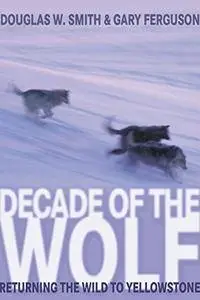 Decade of the Wolf: Returning the Wild to Yellowstone
