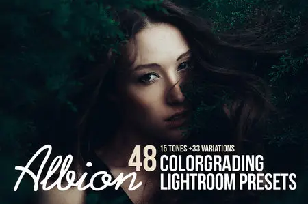 CreativeMarket - Albion - 48 Colorgrading LR Presets