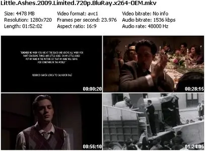  Little Ashes (2009)