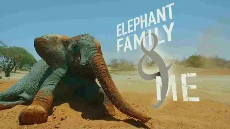 BBC - Gordon Buchanan: Elephant Family And Me (2016)