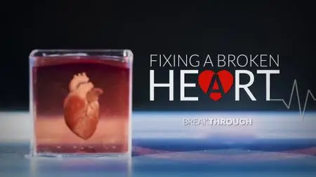 NHK - Breakthrough: Fixing a Broken Heart (2019)