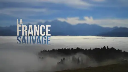 Wild France / La France sauvage / Дикая Франция (2012) 