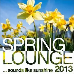 V.A. - Spring Lounge 2013: Sounds Like Sunshine (2013)
