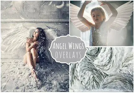 CreativeMarket - 15 White Angel Wings Overlays PNG
