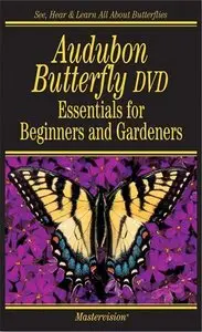 Audubon Butterfly - Essentials for beginners and gardeners