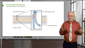 Analytical Techniques in Biotechnology