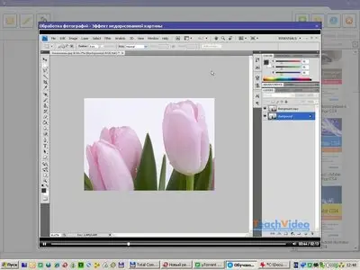 Collection videokursov Mon Adobe Photoshop CS4 enabled TeachVideo (2009RUS)