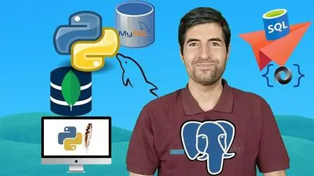 Easy Python Programming Beginners Pro Python SQL MySQL Mongo