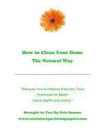 How to Clean Your Home The Natural Way