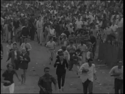 Festival! - The Newport Folk Festival (2005)