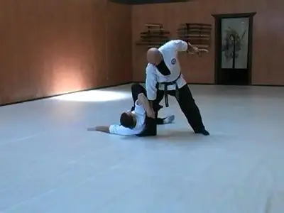 Introduction to Seibukan Jujutsu