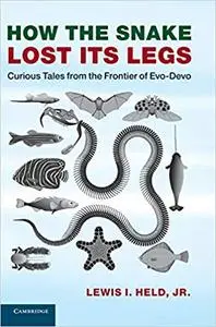 How the Snake Lost its Legs: Curious Tales from the Frontier of Evo-Devo (Repost)