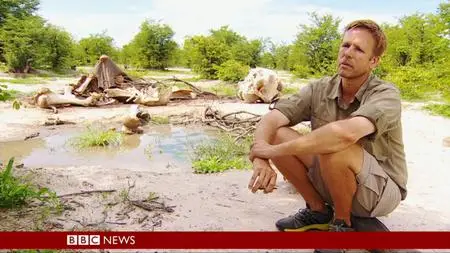 BBC - Botswana: Trouble in the Elephant Sanctuary (2019)