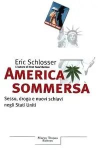 Eric Schlosser - America sommersa. Sesso, droga e nuovi schiavi negli Stati Uniti