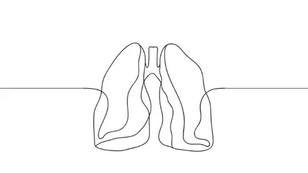 Breathwork for Beginners - Master Breathwork in 7 Days