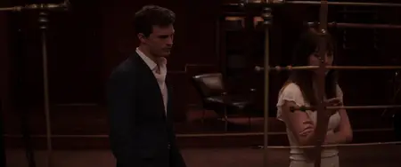 Fifty Shades of Grey (2015)